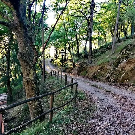 Casa Peonia * Preggio
